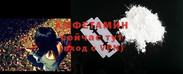ГАЛЛЮЦИНОГЕННЫЕ ГРИБЫ Костерёво