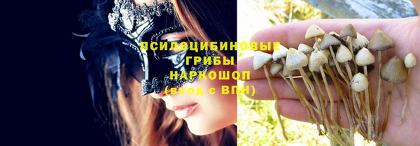 Альфа ПВП Корсаков