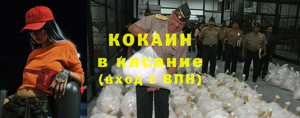 ГАЛЛЮЦИНОГЕННЫЕ ГРИБЫ Костерёво