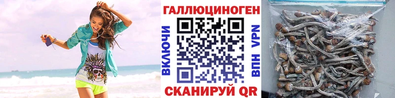 Псилоцибиновые грибы ЛСД  Щёлково 